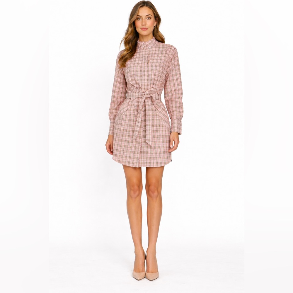 BURBERRY London England Pink Nova Check Shirt Dress Belted Cotton UK 12 US 10